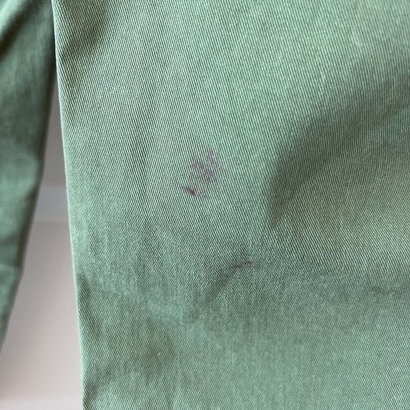 Lagence Green Tuxedo Stripe Pants NWT - Picture 11 of 16